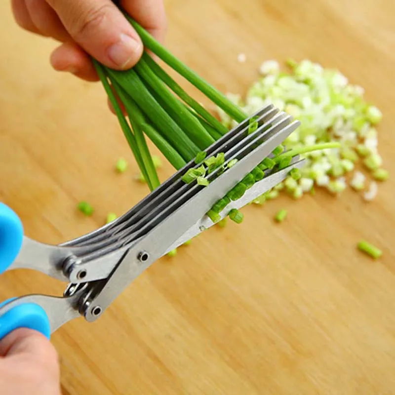 5-слойные ножницы для зеленого – обзор и цена Herb Scissors 5 Blade